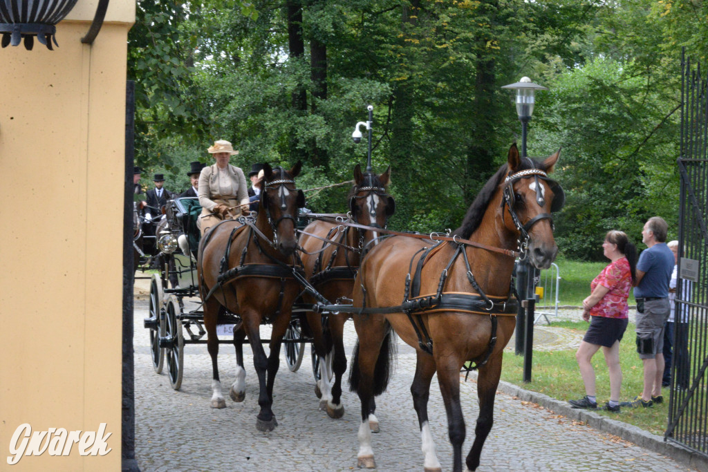 Międzynarodowy Konkurs Tradycyjnego Powożenia CIAT Koszęcin