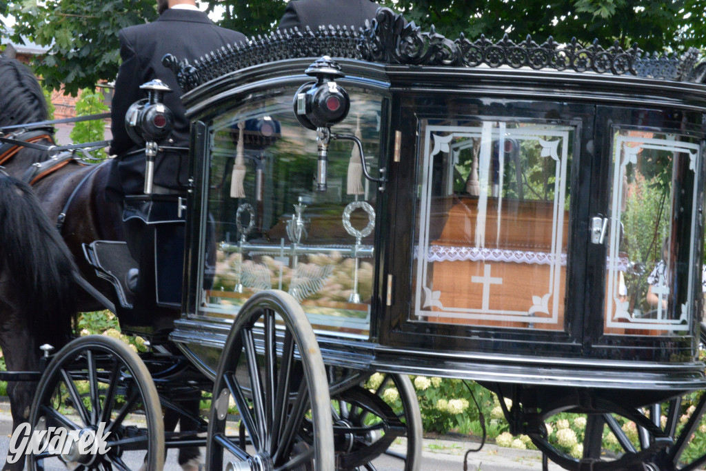 Międzynarodowy Konkurs Tradycyjnego Powożenia CIAT Koszęcin