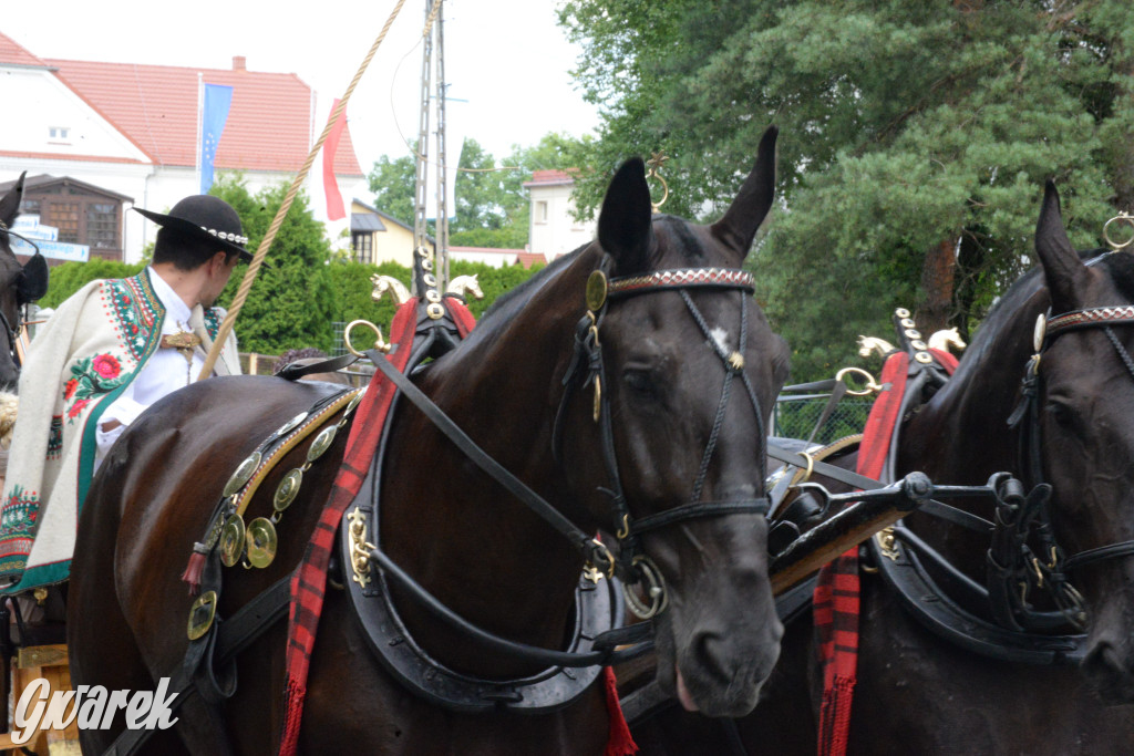 Międzynarodowy Konkurs Tradycyjnego Powożenia CIAT Koszęcin