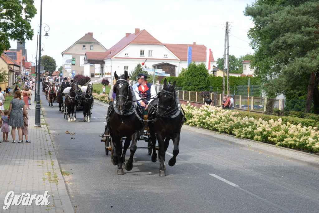 Międzynarodowy Konkurs Tradycyjnego Powożenia CIAT Koszęcin