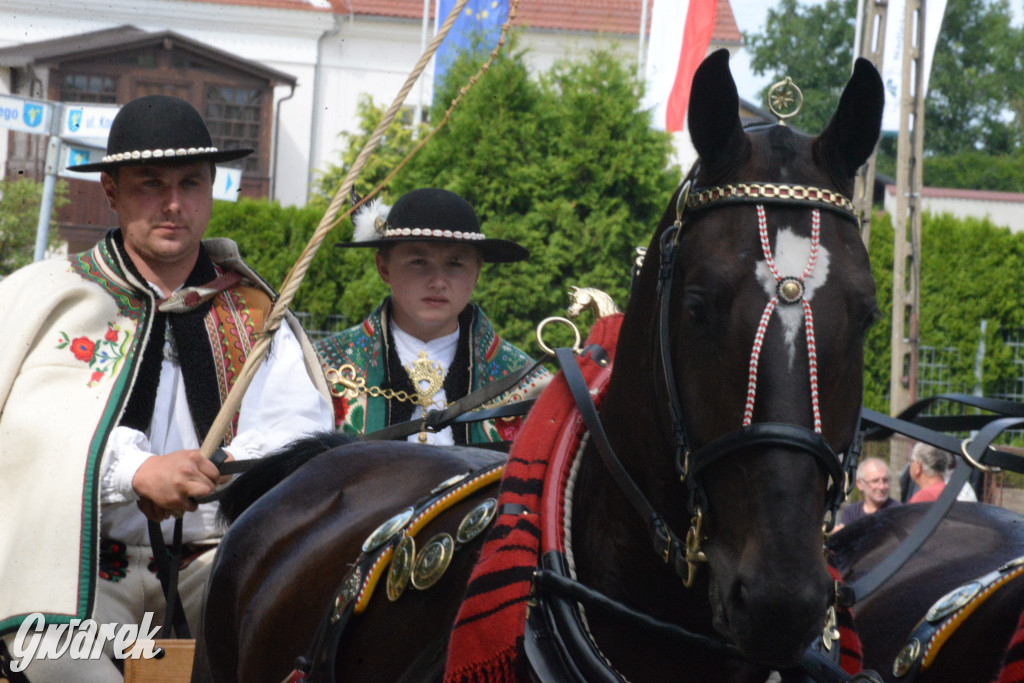 Międzynarodowy Konkurs Tradycyjnego Powożenia CIAT Koszęcin