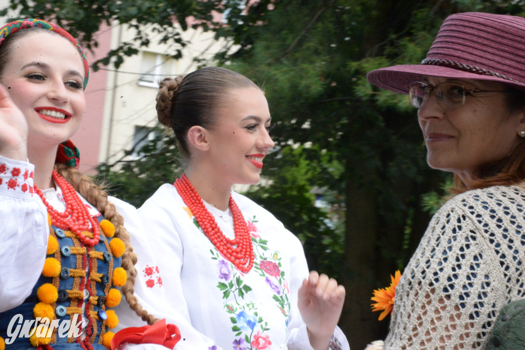 Międzynarodowy Konkurs Tradycyjnego Powożenia CIAT Koszęcin