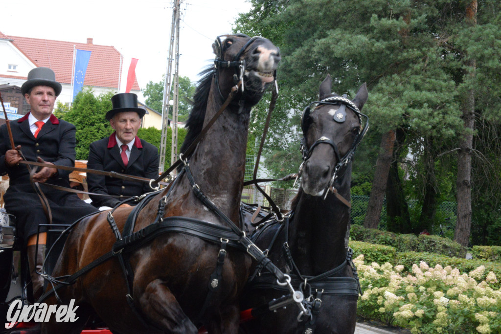 Międzynarodowy Konkurs Tradycyjnego Powożenia CIAT Koszęcin