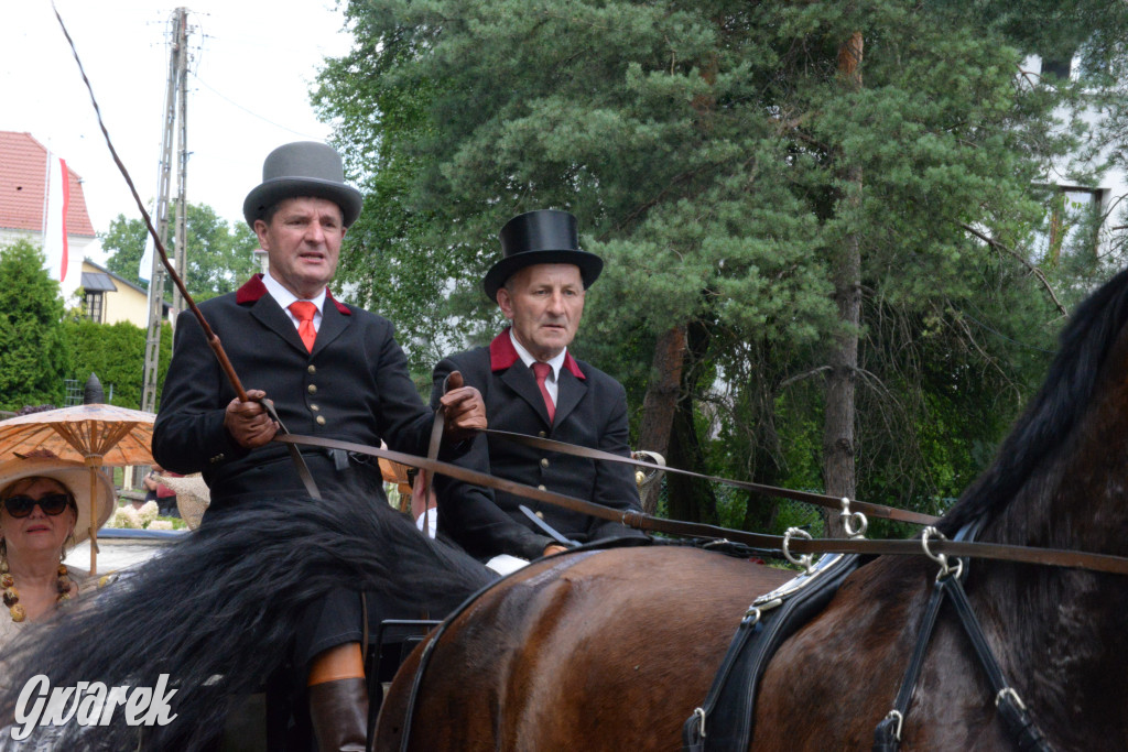 Międzynarodowy Konkurs Tradycyjnego Powożenia CIAT Koszęcin