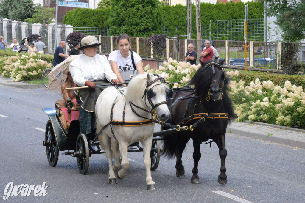 Międzynarodowy Konkurs Tradycyjnego Powożenia CIAT Koszęcin