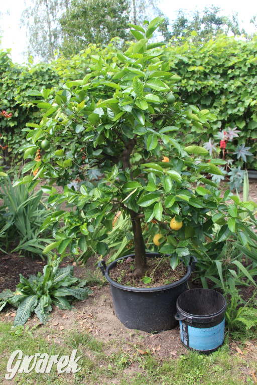 Spotkanie pszczelarzy w Nowym Chechle