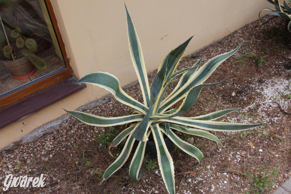 Spotkanie pszczelarzy w Nowym Chechle