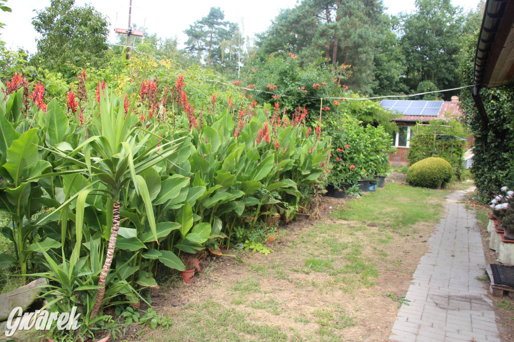 Spotkanie pszczelarzy w Nowym Chechle