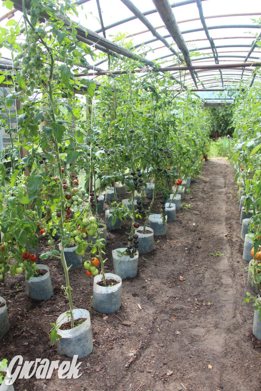 Spotkanie pszczelarzy w Nowym Chechle