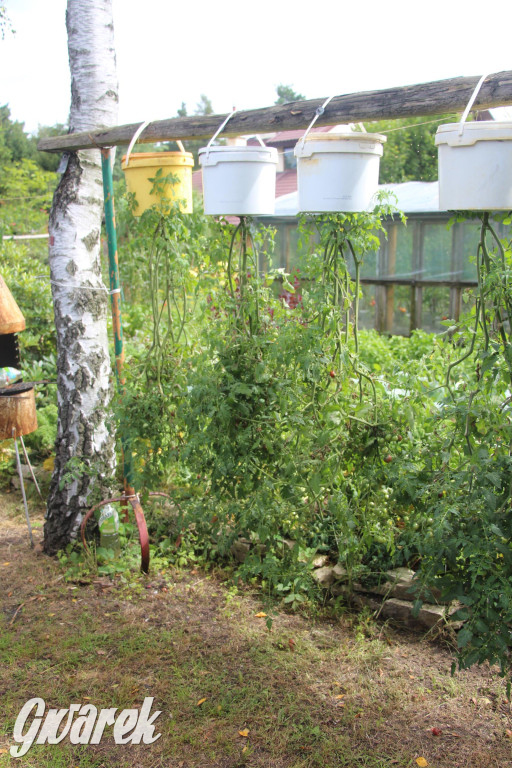 Spotkanie pszczelarzy w Nowym Chechle