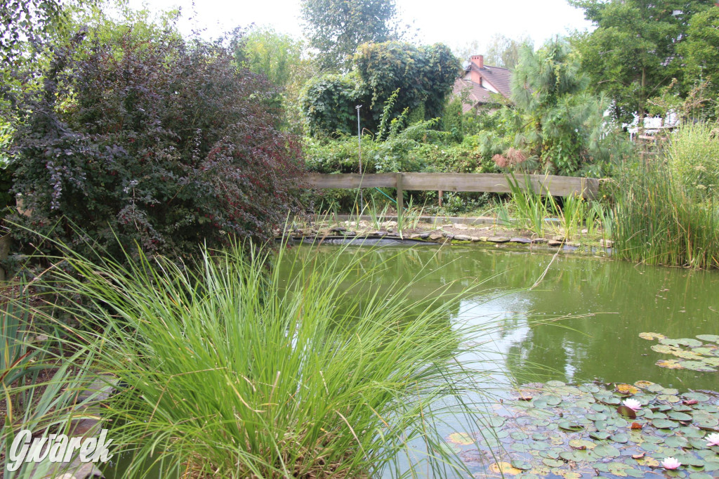 Spotkanie pszczelarzy w Nowym Chechle