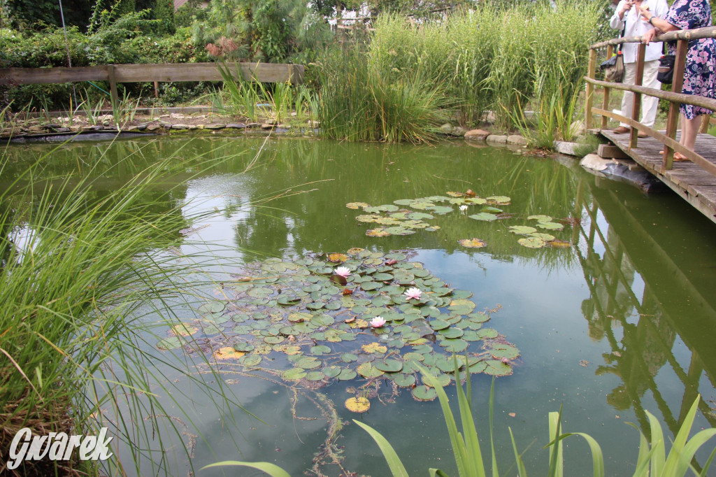 Spotkanie pszczelarzy w Nowym Chechle