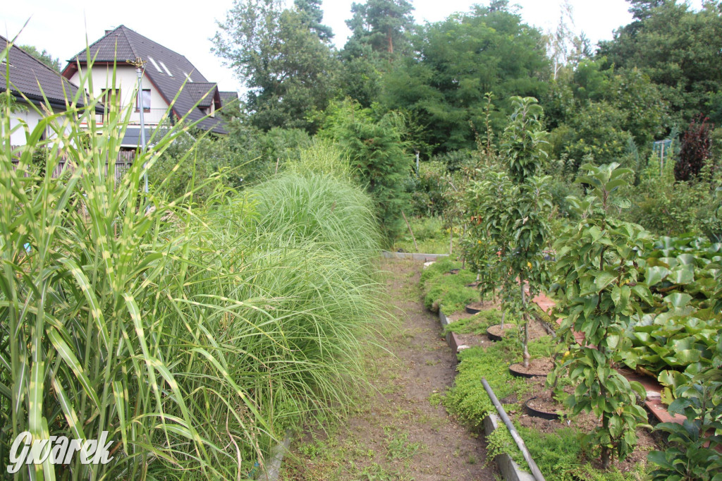 Spotkanie pszczelarzy w Nowym Chechle