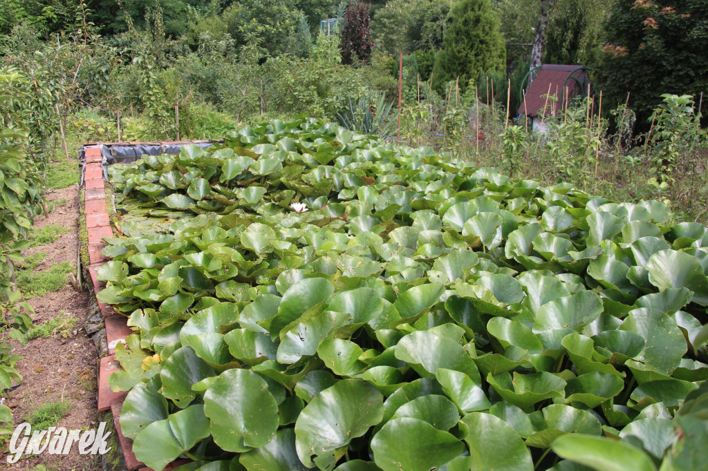 Spotkanie pszczelarzy w Nowym Chechle