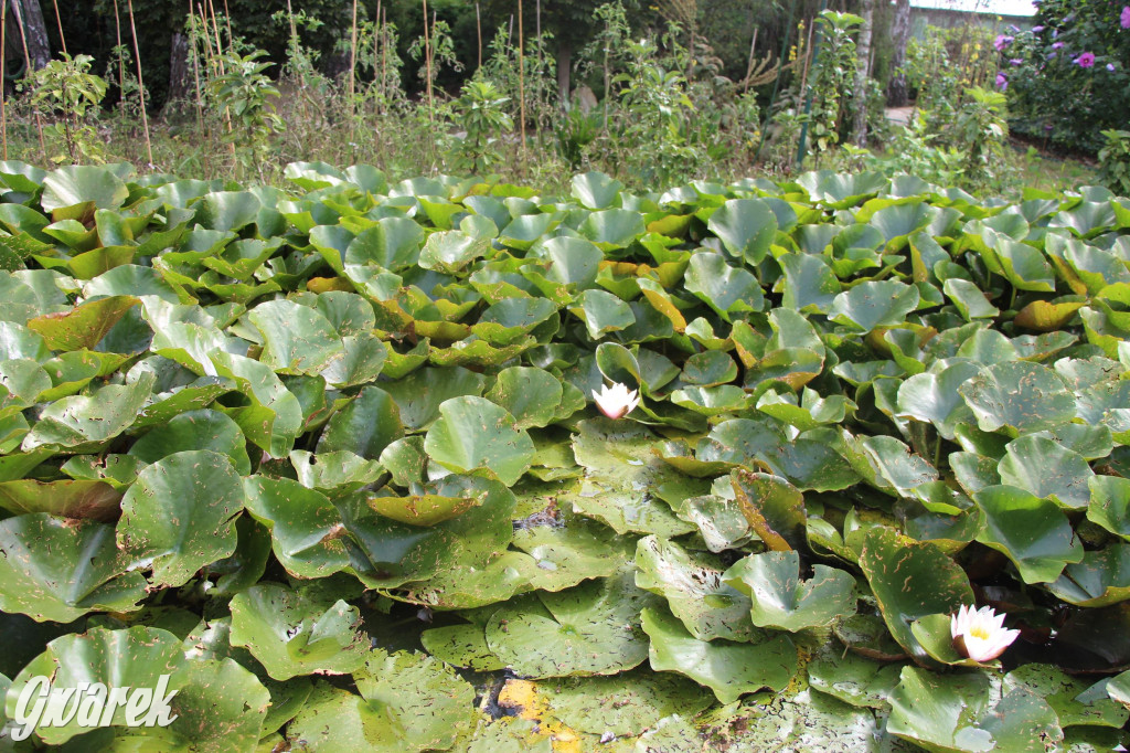 Spotkanie pszczelarzy w Nowym Chechle