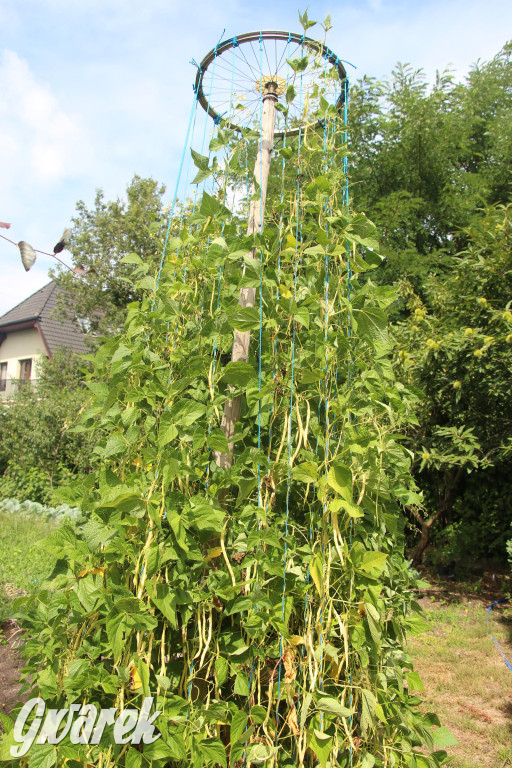 Spotkanie pszczelarzy w Nowym Chechle