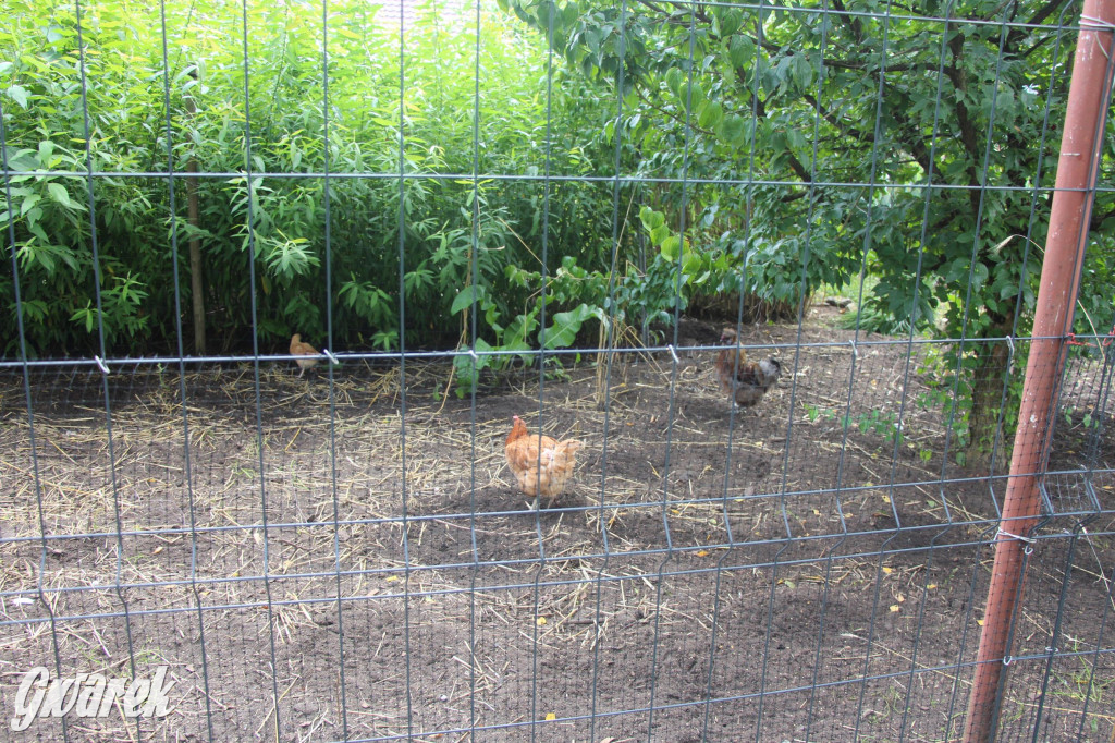 Spotkanie pszczelarzy w Nowym Chechle