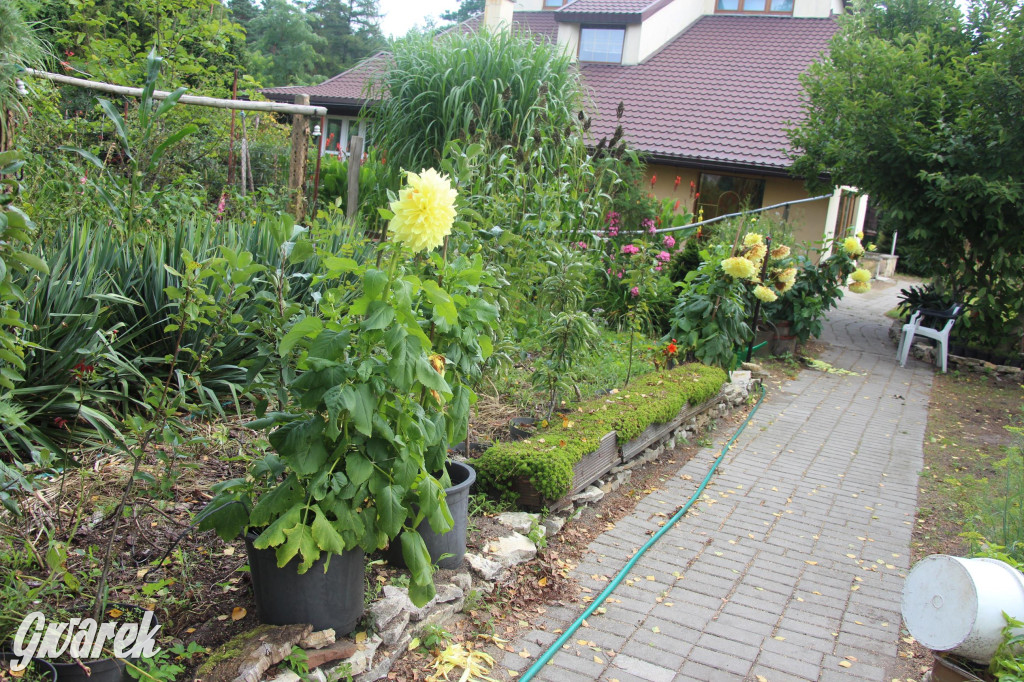 Spotkanie pszczelarzy w Nowym Chechle