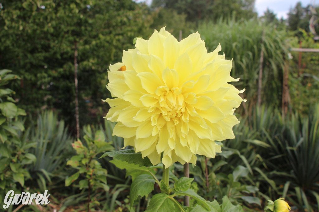 Spotkanie pszczelarzy w Nowym Chechle