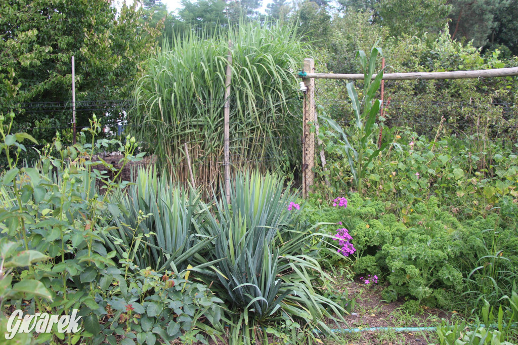 Spotkanie pszczelarzy w Nowym Chechle