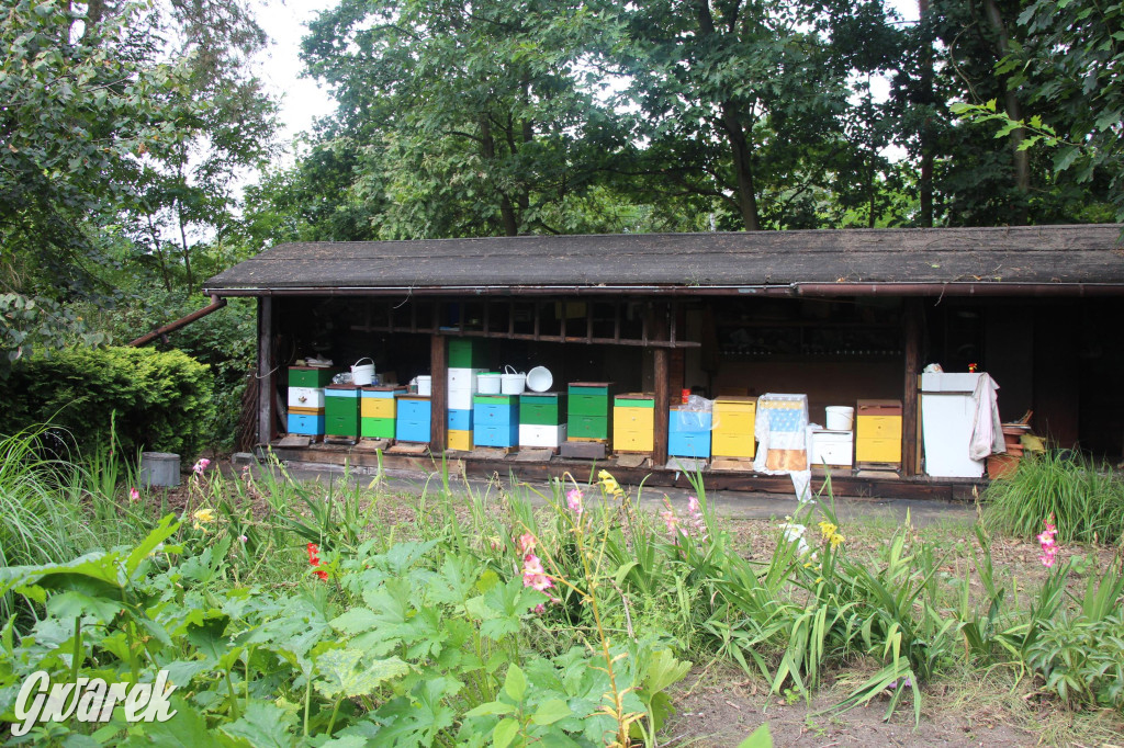 Spotkanie pszczelarzy w Nowym Chechle