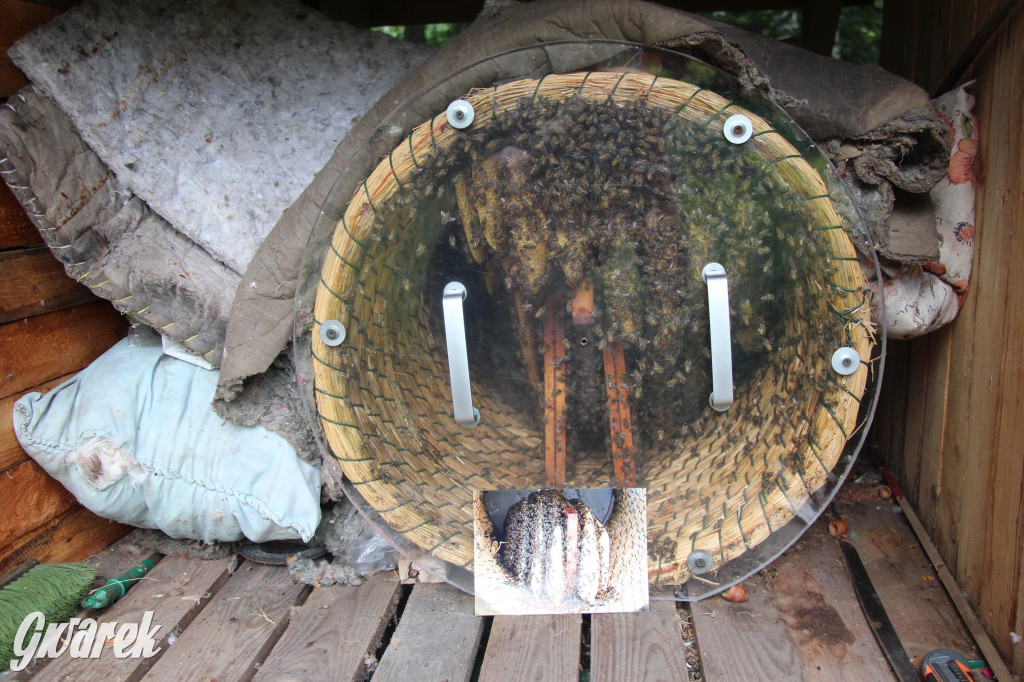 Spotkanie pszczelarzy w Nowym Chechle