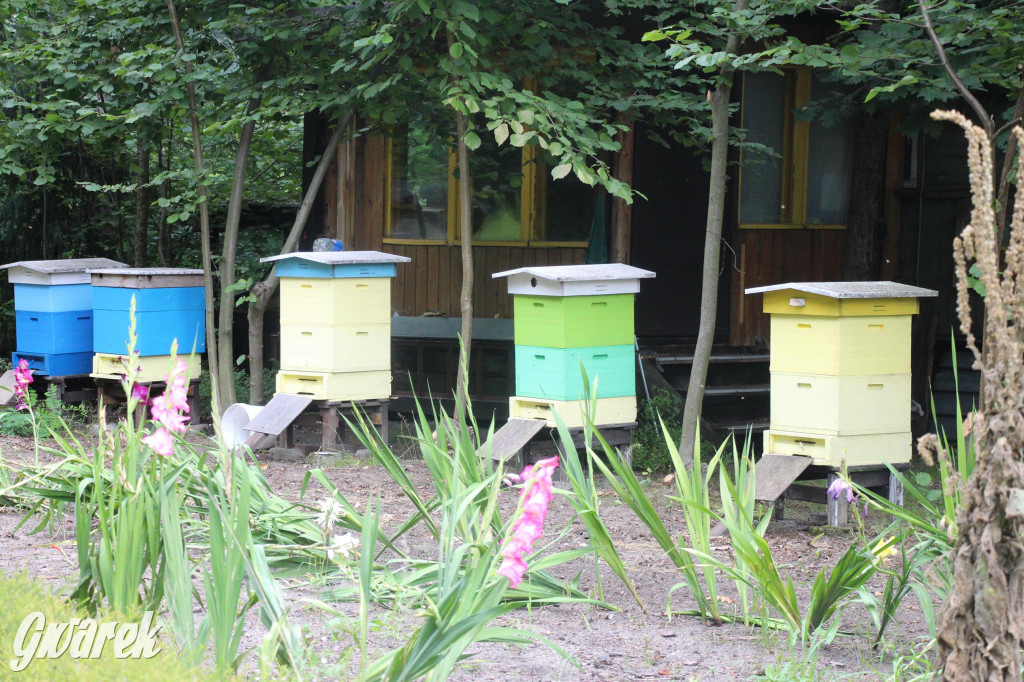 Spotkanie pszczelarzy w Nowym Chechle