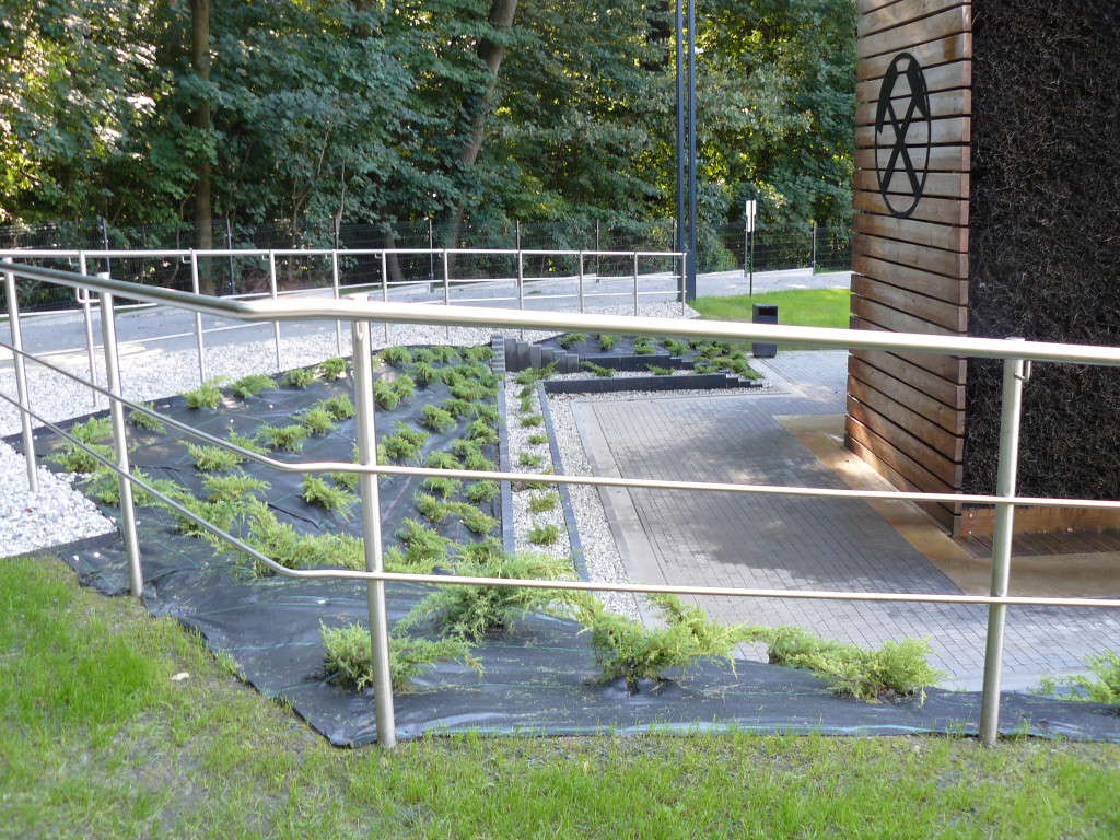 Tarnowskie Góry. Otwierają amfiteatr w parku