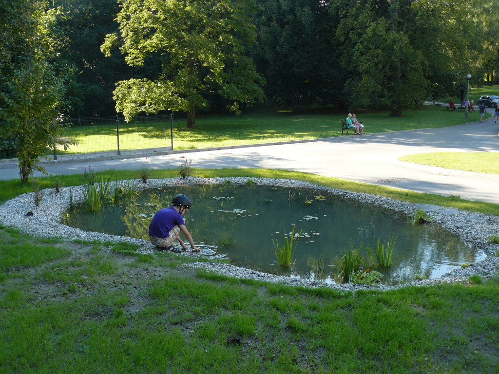 Tarnowskie Góry. Otwierają amfiteatr w parku
