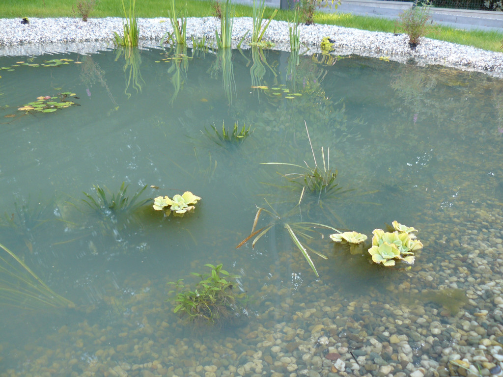 Tarnowskie Góry. Otwierają amfiteatr w parku