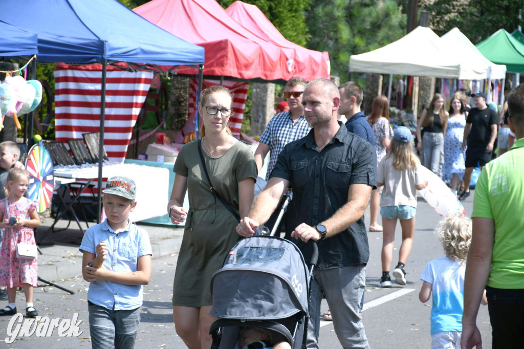 Święto Wniebowzięcia NMP i odpust w Rojcy [FOTO]