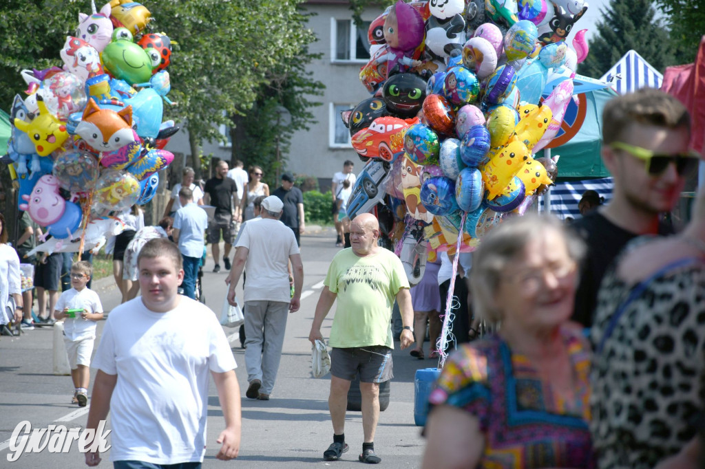 Święto Wniebowzięcia NMP i odpust w Rojcy [FOTO]