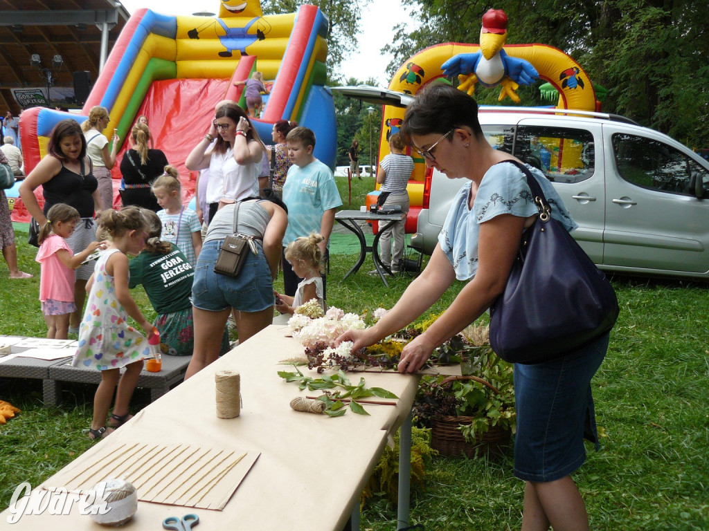 Georgenfest w parku. Działo się! [ZDJĘCIA]