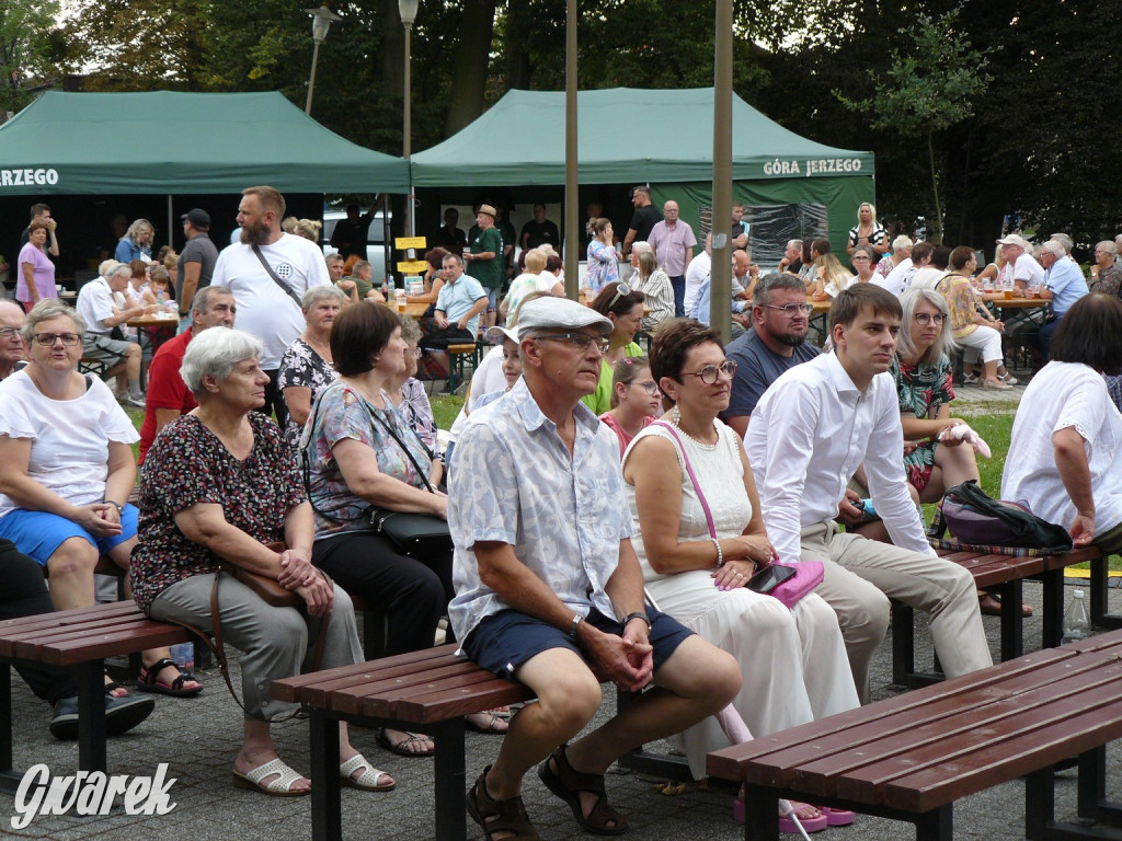 Georgenfest w parku. Działo się! [ZDJĘCIA]