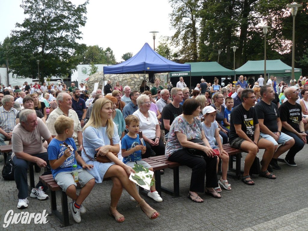 Georgenfest w parku. Działo się! [ZDJĘCIA]