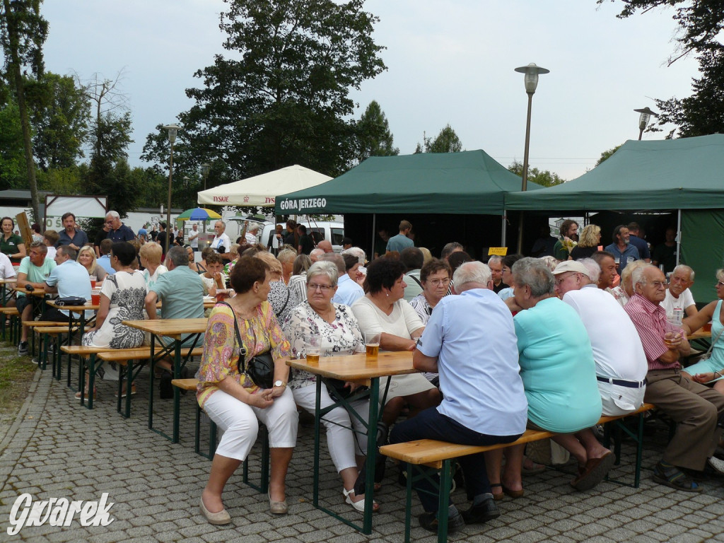 Georgenfest w parku. Działo się! [ZDJĘCIA]