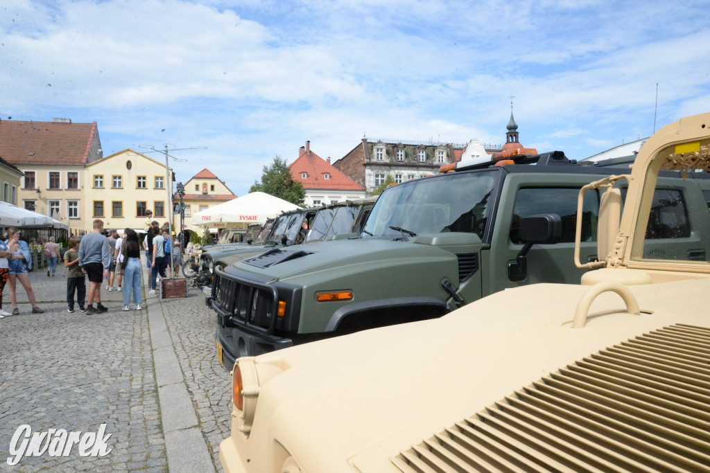 Tarnowskie Góry. V Tarnogórski Piknik Militarny