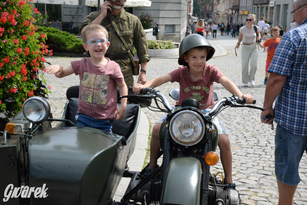 Tarnowskie Góry. V Tarnogórski Piknik Militarny