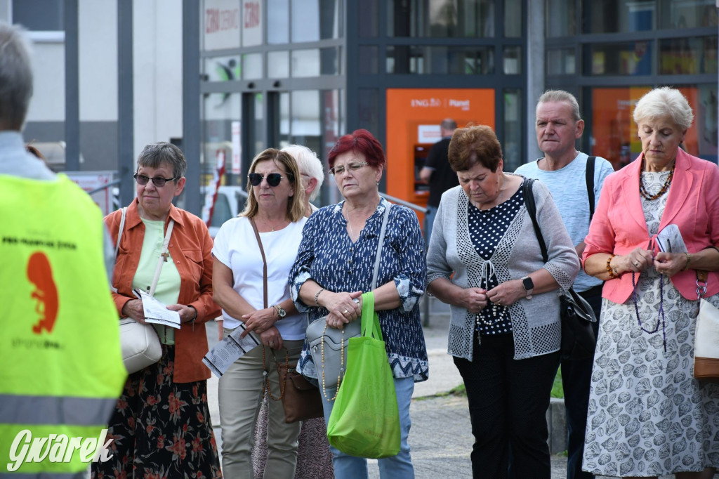 Modlitwa różańcowa ruchu antyaborcyjnego [GALERIA]