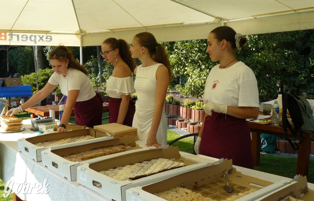 Bobrowniki Śląskie. Piknik parafialny [FOTO, FILM]