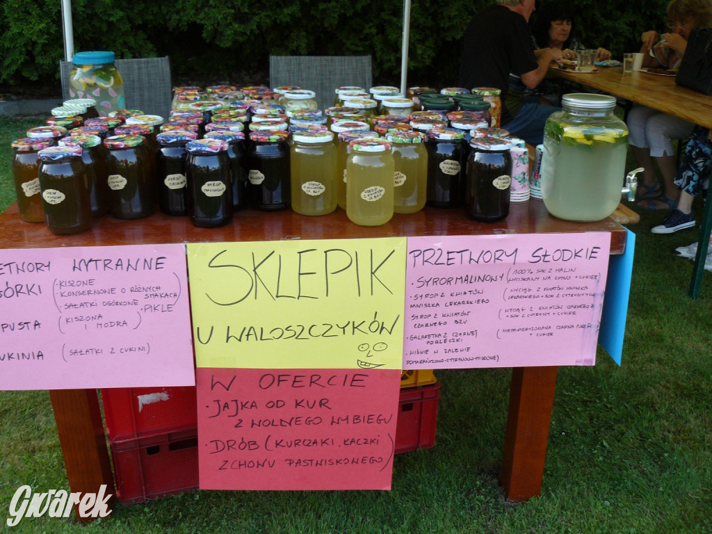 Bobrowniki Śląskie. Piknik parafialny [FOTO, FILM]