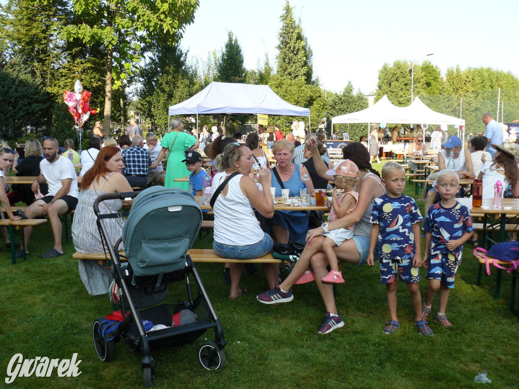 Bobrowniki Śląskie. Piknik parafialny [FOTO, FILM]