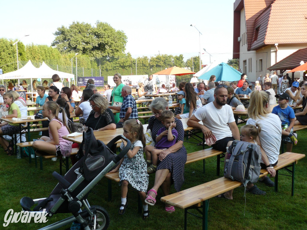 Bobrowniki Śląskie. Piknik parafialny [FOTO, FILM]