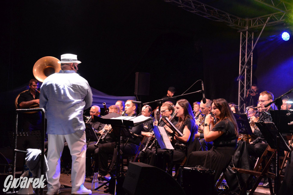 Wieczorny koncert Orkiestry Kamiliańskiej [FOTO]