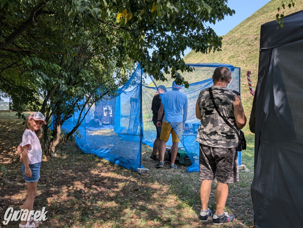 Święto wojska: najpierw oficjalnie, a potem piknik