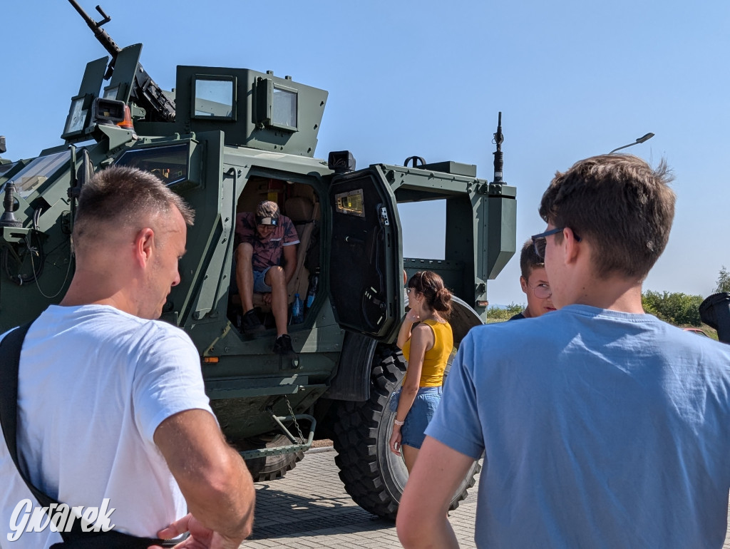 Święto wojska: najpierw oficjalnie, a potem piknik