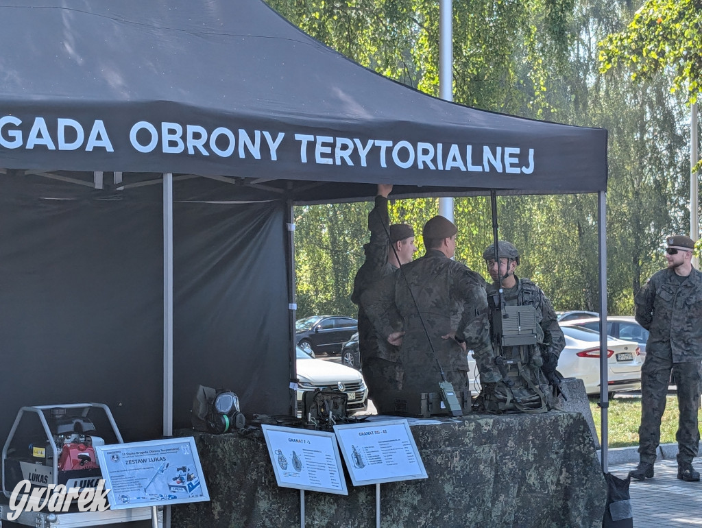 Święto wojska: najpierw oficjalnie, a potem piknik