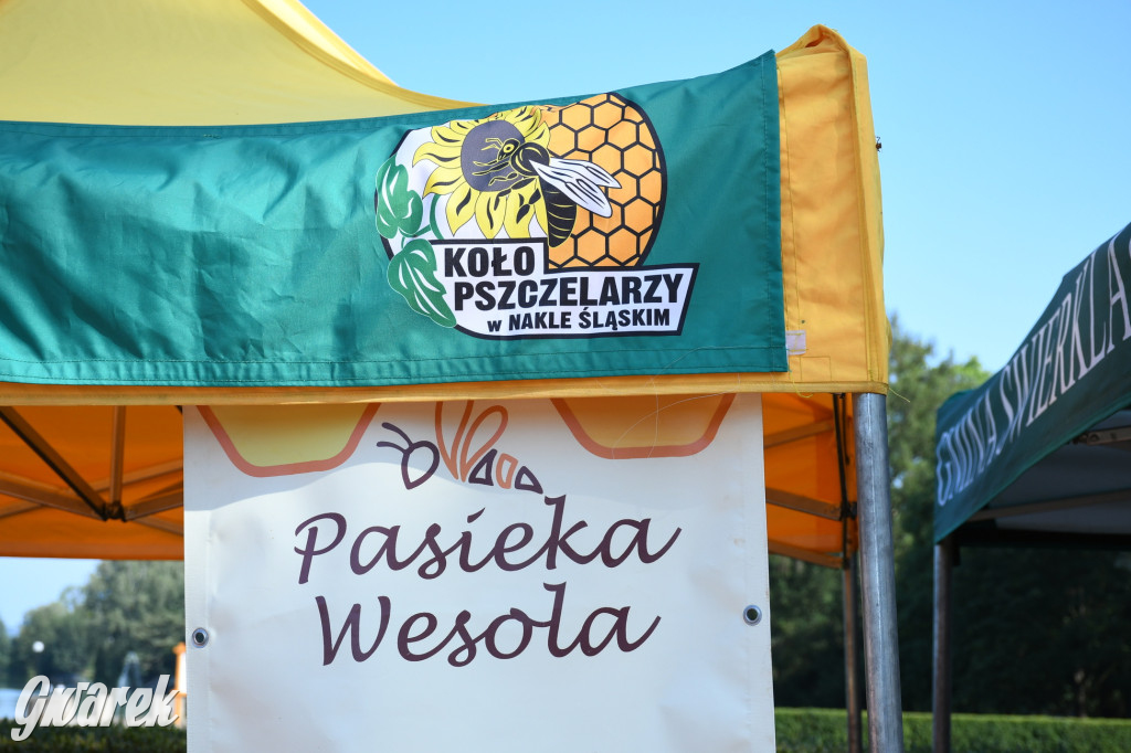 Sobota w świerklanieckim parku. Głosowanie podczas pikniku