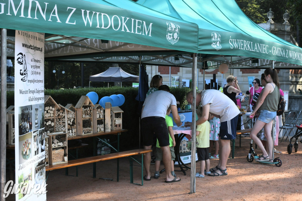 Sobota w świerklanieckim parku. Głosowanie podczas pikniku