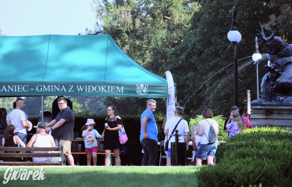 Sobota w świerklanieckim parku. Głosowanie podczas pikniku